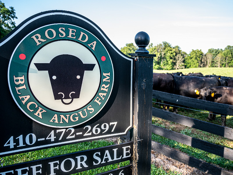Roseda Black Angus Farms Sign