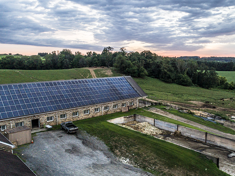 Roseda Farm Solar Panels