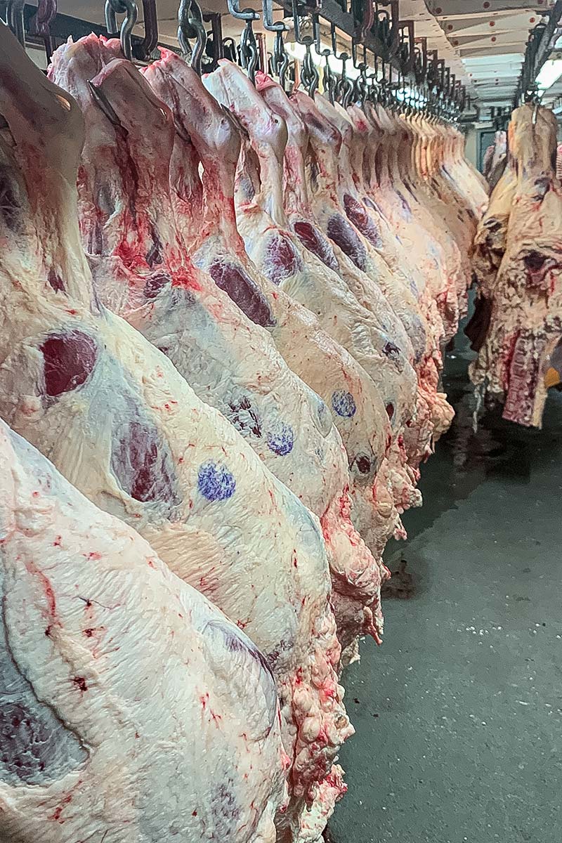 roseda beef dry aging cuts